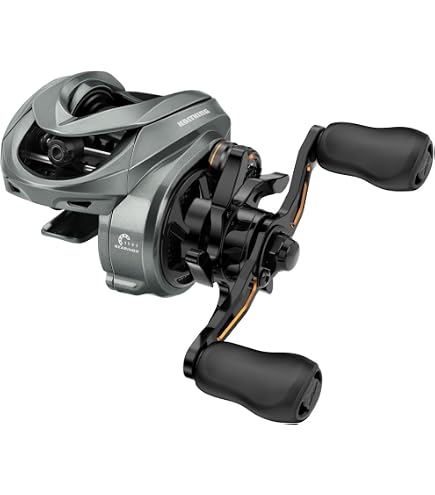 Amazon.com : Shimano Bait Reel 23 Calcutta Conquest BFS HG Left